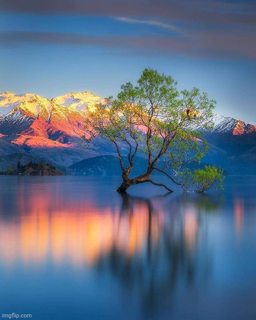 Wanaka Lake, New Zealand.  Photo credit: Everlook Photography. | image tagged in lake,sunset shimmer,beautiful,photography | made w/ Imgflip meme maker