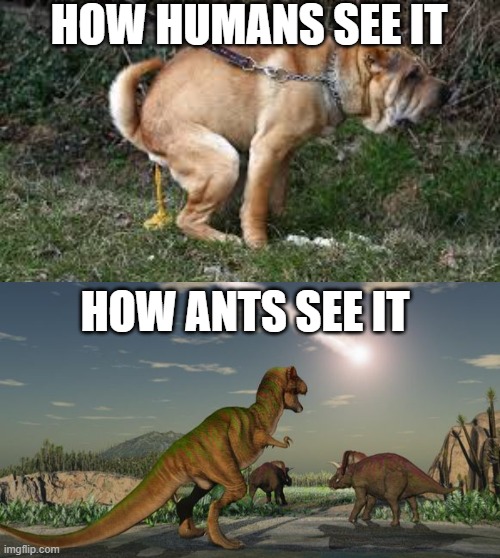 just another poop joke | HOW HUMANS SEE IT; HOW ANTS SEE IT | image tagged in dinosaurs meteor | made w/ Imgflip meme maker