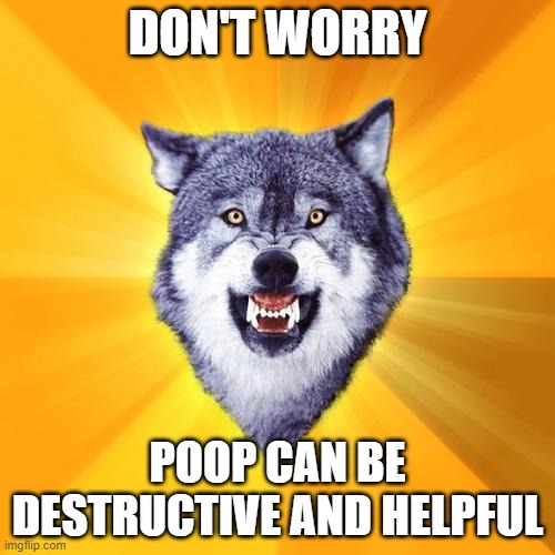 good for: plants   bad for: ants | DON'T WORRY; POOP CAN BE DESTRUCTIVE AND HELPFUL | image tagged in memes,courage wolf | made w/ Imgflip meme maker