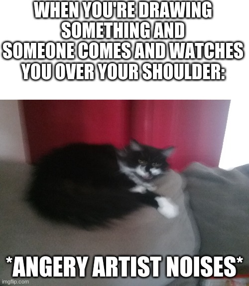 leave me bEEEEEEEEEEEEEEEEEE | WHEN YOU'RE DRAWING SOMETHING AND SOMEONE COMES AND WATCHES YOU OVER YOUR SHOULDER:; *ANGERY ARTIST NOISES* | image tagged in angery cat,artist,frustration | made w/ Imgflip meme maker