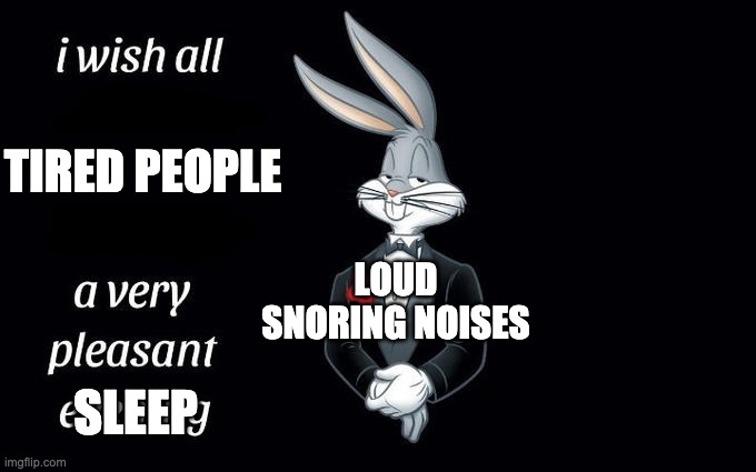 I wish all the X a very pleasant evening | TIRED PEOPLE; LOUD SNORING NOISES; SLEEP | image tagged in i wish all the x a very pleasant evening,tired | made w/ Imgflip meme maker