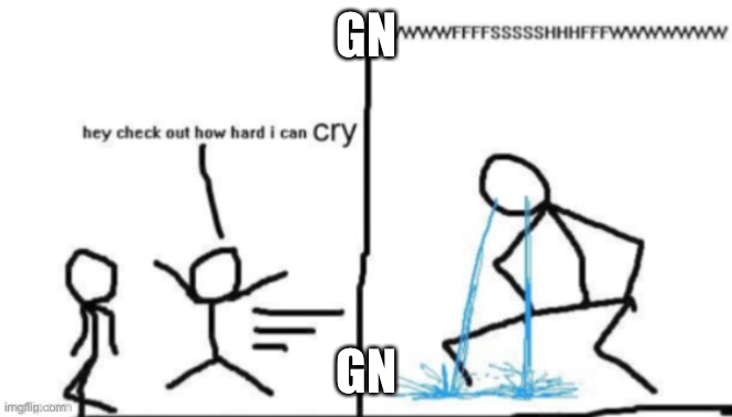 Hey check out how hard I can cry | GN; GN | image tagged in hey check out how hard i can cry | made w/ Imgflip meme maker