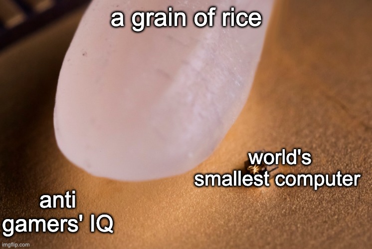 yep | a grain of rice; world's smallest computer; anti gamers' IQ | image tagged in grain of rice,reddit | made w/ Imgflip meme maker