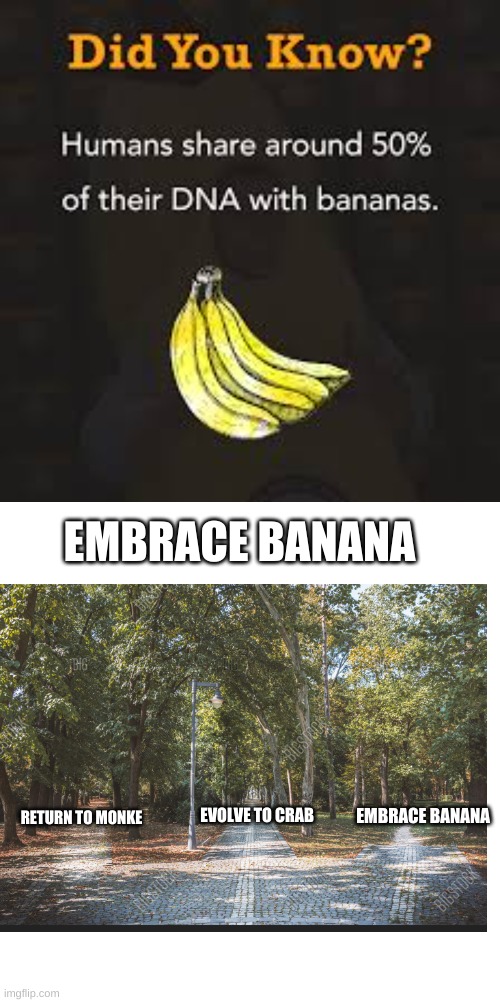 Embrace Banana | EMBRACE BANANA; EMBRACE BANANA; EVOLVE TO CRAB; RETURN TO MONKE | image tagged in memes,banana | made w/ Imgflip meme maker
