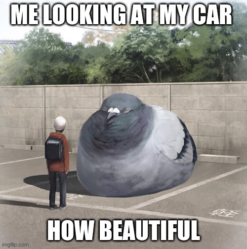 Beeg Birb | ME LOOKING AT MY CAR; HOW BEAUTIFUL | image tagged in beeg birb | made w/ Imgflip meme maker