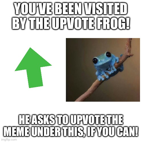 The Upvote Frog has visited you! | YOU’VE BEEN VISITED BY THE UPVOTE FROG! HE ASKS TO UPVOTE THE MEME UNDER THIS, IF YOU CAN! | image tagged in memes,blank transparent square | made w/ Imgflip meme maker