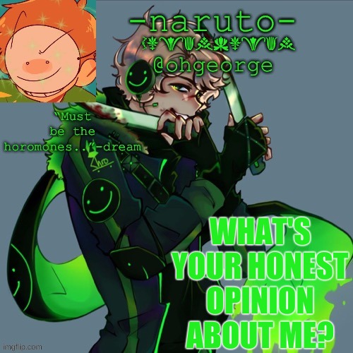 ._. | WHAT'S YOUR HONEST OPINION ABOUT ME? | image tagged in -naruto- dream template | made w/ Imgflip meme maker