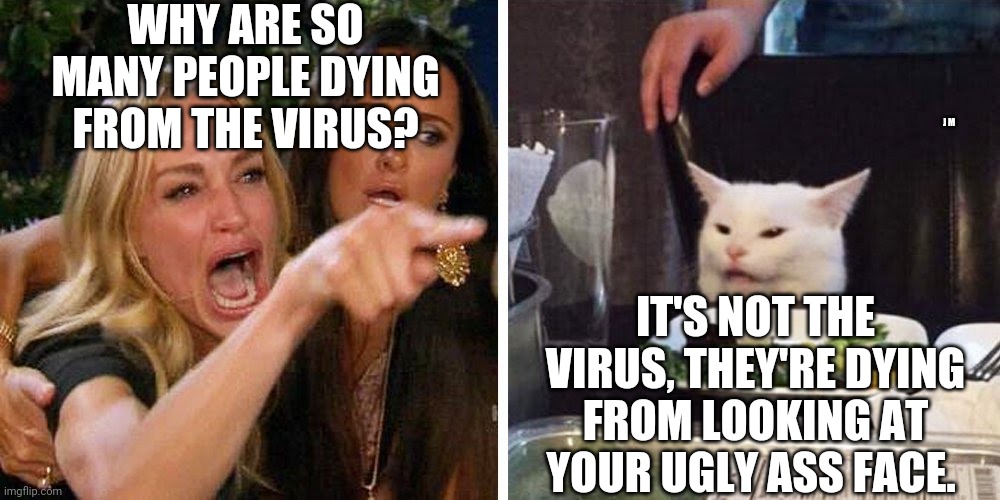 Smudge the cat | WHY ARE SO MANY PEOPLE DYING FROM THE VIRUS? J M; IT'S NOT THE VIRUS, THEY'RE DYING FROM LOOKING AT YOUR UGLY ASS FACE. | image tagged in smudge the cat | made w/ Imgflip meme maker
