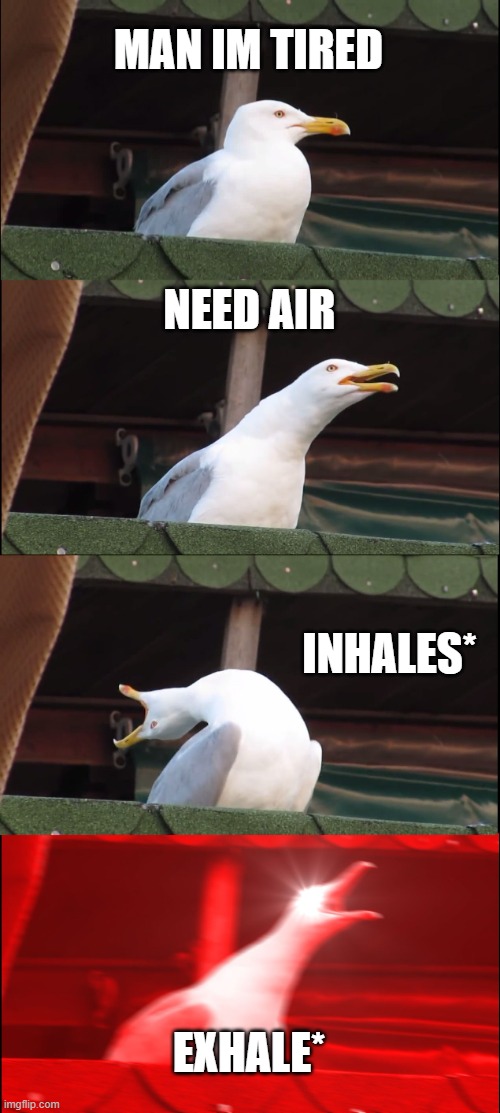 Inhaling Seagull | MAN IM TIRED; NEED AIR; INHALES*; EXHALE* | image tagged in memes,inhaling seagull | made w/ Imgflip meme maker