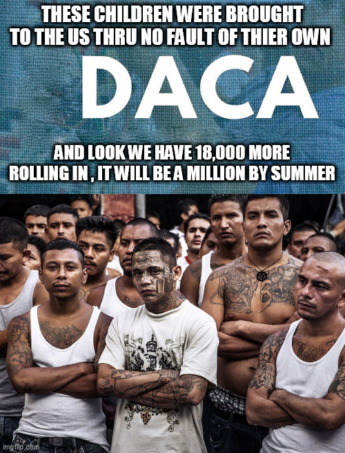 THESE CHILDREN WERE BROUGHT TO THE US THRU NO FAULT OF THIER OWN; AND LOOK WE HAVE 18,000 MORE ROLLING IN , IT WILL BE A MILLION BY SUMMER | image tagged in daca,ms-13 dreamers daca | made w/ Imgflip meme maker