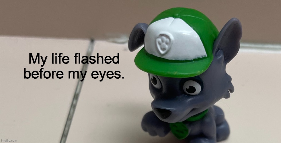 My life flashed before my eyes. | image tagged in my life flashed before my eyes | made w/ Imgflip meme maker