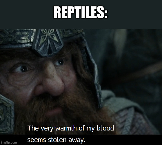 Reptiles be like | REPTILES: | image tagged in reptiles,gimli,lord of the rings,clood blooded | made w/ Imgflip meme maker