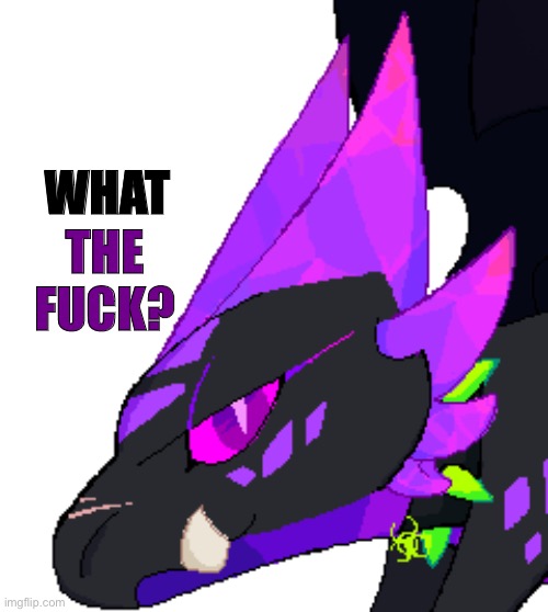 WHAT THE FUCK? | made w/ Imgflip meme maker