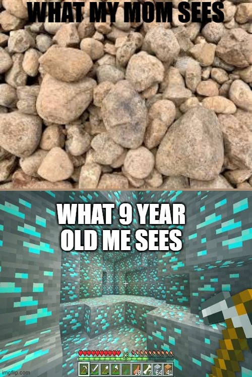 WHAT MY MOM SEES; WHAT 9 YEAR OLD ME SEES | image tagged in childhood,rocks,minecraft,memes,funny memes,relatable | made w/ Imgflip meme maker