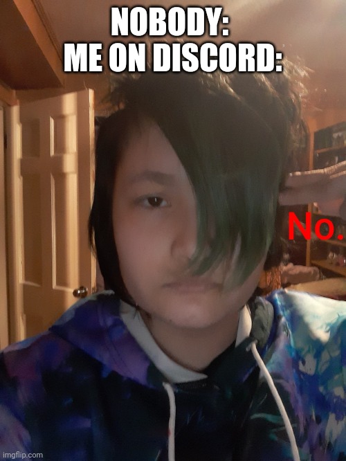No | NOBODY: 
ME ON DISCORD: | image tagged in no | made w/ Imgflip meme maker