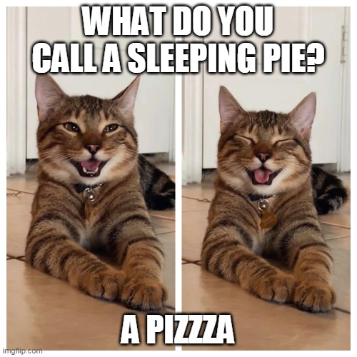 Joking cat | WHAT DO YOU CALL A SLEEPING PIE? A PIZZZA | image tagged in joking cat,memes | made w/ Imgflip meme maker