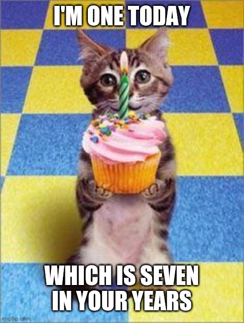 Happy Birthday Cat |  I'M ONE TODAY; WHICH IS SEVEN IN YOUR YEARS | image tagged in happy birthday cat | made w/ Imgflip meme maker
