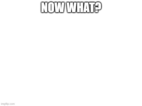 now what? | NOW WHAT? | image tagged in blank white template | made w/ Imgflip meme maker