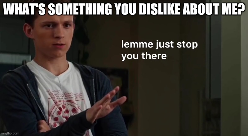 Lemme just stop you there | WHAT'S SOMETHING YOU DISLIKE ABOUT ME? | image tagged in lemme just stop you there | made w/ Imgflip meme maker