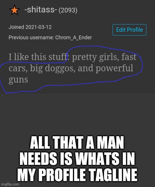 Thats right bros | ALL THAT A MAN NEEDS IS WHATS IN MY PROFILE TAGLINE | made w/ Imgflip meme maker