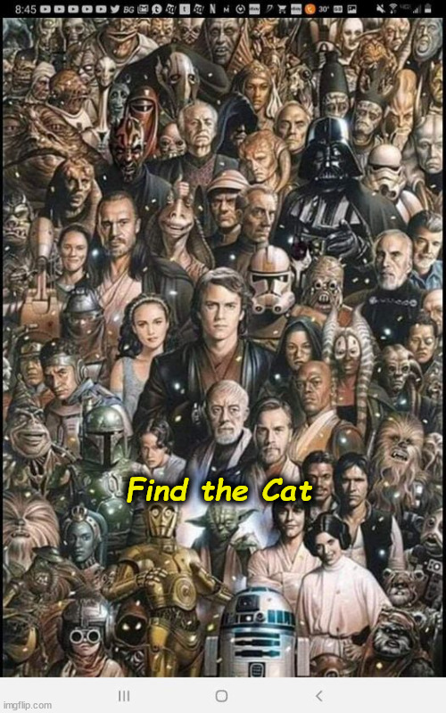 cat | Find the Cat | image tagged in cat | made w/ Imgflip meme maker