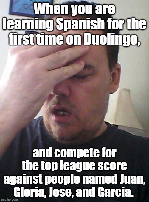 Yea, that will happen. | When you are learning Spanish for the first time on Duolingo, and compete for the top league score against people named Juan, Gloria, Jose, and Garcia. | image tagged in face palm | made w/ Imgflip meme maker