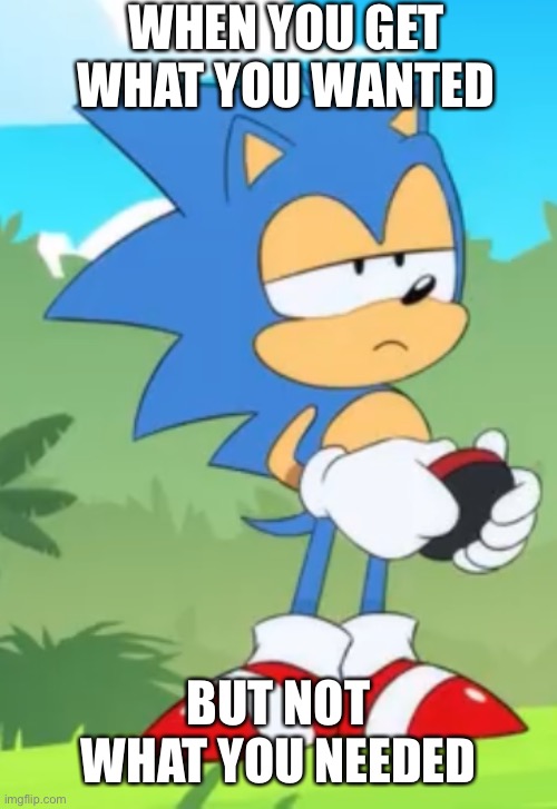 When you get what you wanted but not what you needed | WHEN YOU GET WHAT YOU WANTED; BUT NOT WHAT YOU NEEDED | image tagged in sonic the hedgehog,memes | made w/ Imgflip meme maker