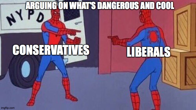 spiderman pointing at spiderman | ARGUING ON WHAT'S DANGEROUS AND COOL; CONSERVATIVES; LIBERALS | image tagged in spiderman pointing at spiderman | made w/ Imgflip meme maker