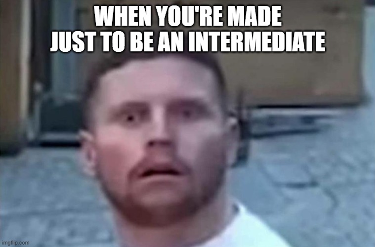 Behzinga Shocked | WHEN YOU'RE MADE JUST TO BE AN INTERMEDIATE | image tagged in behzinga shocked | made w/ Imgflip meme maker