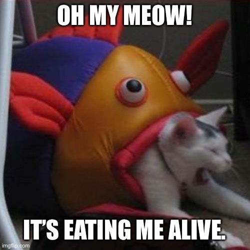 Fish eating cat |  OH MY MEOW! IT’S EATING ME ALIVE. | image tagged in fish eating cat | made w/ Imgflip meme maker