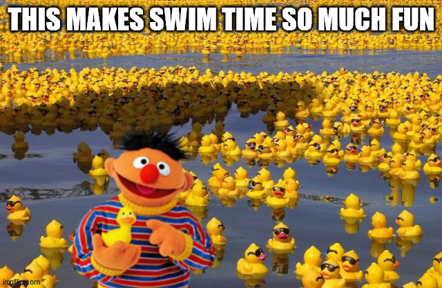 THIS MAKES SWIM TIME SO MUCH FUN | image tagged in ducks | made w/ Imgflip meme maker