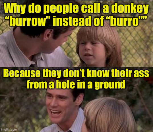 Hee Haw | Why do people call a donkey “burrow” instead of “burro””; Because they don’t know their ass
from a hole in a ground | image tagged in memes,that's just something x say | made w/ Imgflip meme maker
