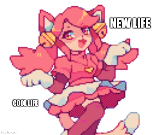 NEW LIFE; COOL LIFE | image tagged in lol | made w/ Imgflip meme maker