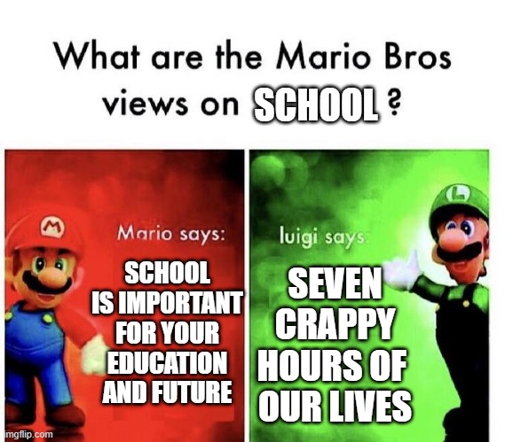 it is tho |  SCHOOL; SCHOOL IS IMPORTANT FOR YOUR EDUCATION AND FUTURE; SEVEN CRAPPY HOURS OF 
OUR LIVES | image tagged in mario bros views,not online,thats worse,really,school,meme | made w/ Imgflip meme maker