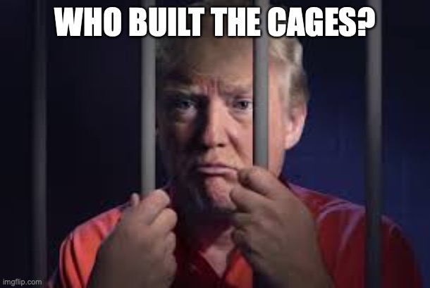 Trump jail | WHO BUILT THE CAGES? | image tagged in trump jail | made w/ Imgflip meme maker