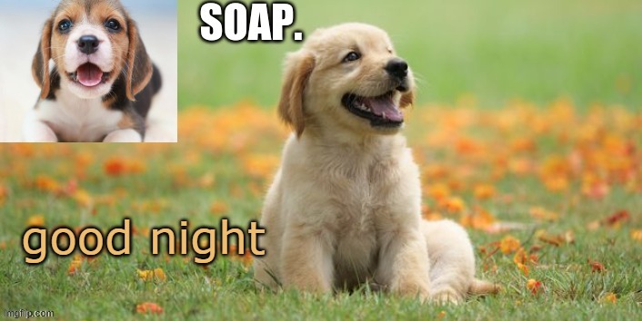 soap doggo template | good night | image tagged in soap doggo template | made w/ Imgflip meme maker