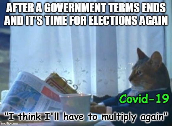 It be like that | AFTER A GOVERNMENT TERMS ENDS AND IT'S TIME FOR ELECTIONS AGAIN; Covid-19; "I think I'll have to multiply again" | image tagged in memes,i should buy a boat cat | made w/ Imgflip meme maker