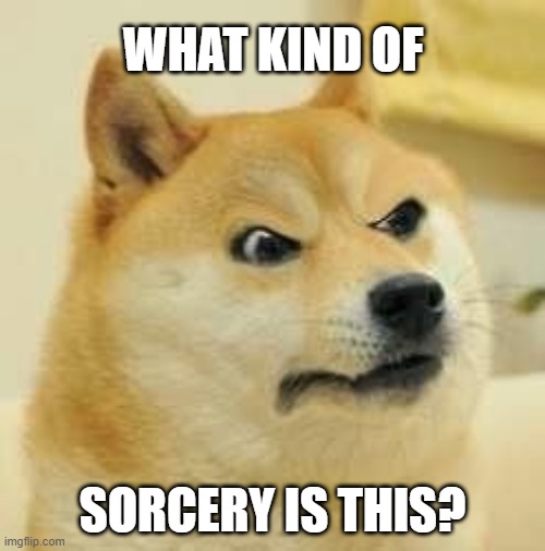 Doge Sorcery | WHAT KIND OF; SORCERY IS THIS? | image tagged in doge | made w/ Imgflip meme maker