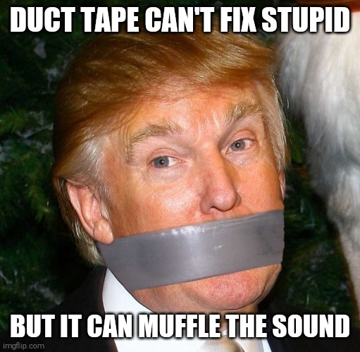 Trump duct tape mouth | DUCT TAPE CAN'T FIX STUPID; BUT IT CAN MUFFLE THE SOUND | image tagged in trump duct tape mouth | made w/ Imgflip meme maker
