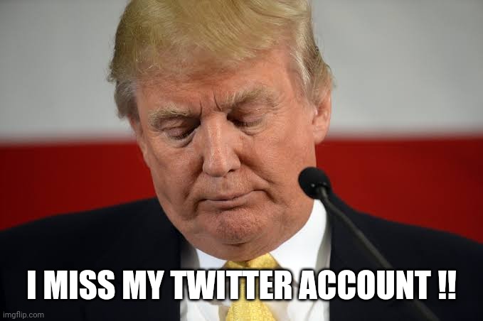 Donald trump | I MISS MY TWITTER ACCOUNT !! | image tagged in sad truth,donald trump,twitter | made w/ Imgflip meme maker