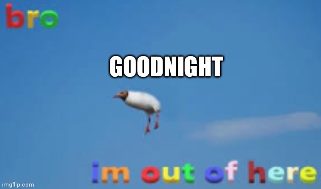GOODNIGHT | image tagged in bro im out of here | made w/ Imgflip meme maker