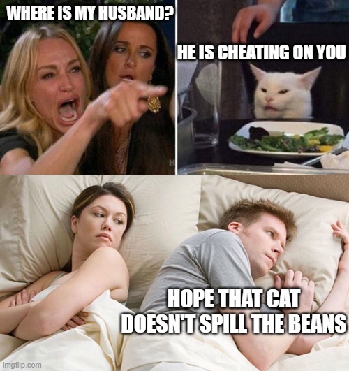 Cheating | WHERE IS MY HUSBAND? HE IS CHEATING ON YOU; HOPE THAT CAT DOESN'T SPILL THE BEANS | image tagged in memes,funny,woman yelling at cat,i bet he's thinking about other women,cheating,cheating husband | made w/ Imgflip meme maker