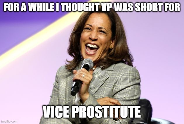 Camel-la | FOR A WHILE I THOUGHT VP WAS SHORT FOR; VICE PROSTITUTE | image tagged in camel-la | made w/ Imgflip meme maker