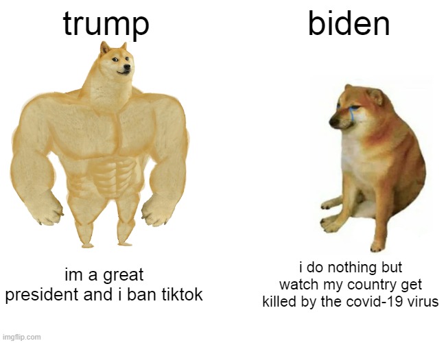 Buff Doge vs. Cheems | trump; biden; im a great president and i ban tiktok; i do nothing but watch my country get killed by the covid-19 virus | image tagged in memes,buff doge vs cheems | made w/ Imgflip meme maker