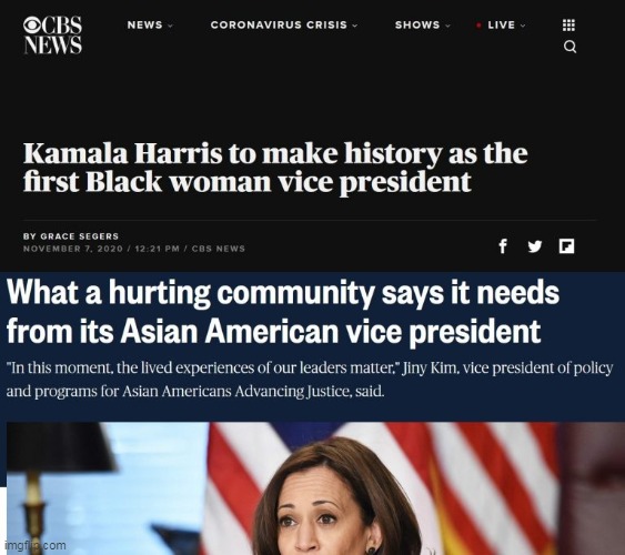 NOTHING NEED BE SAID, EH? | image tagged in kamala harris,first black vp,first asian vp,victims | made w/ Imgflip meme maker