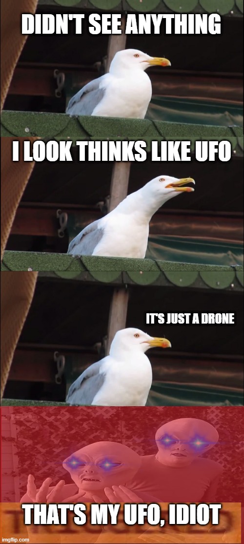 IDIOT SEAGULL | DIDN'T SEE ANYTHING; I LOOK THINKS LIKE UFO; IT'S JUST A DRONE; THAT'S MY UFO, IDIOT | image tagged in memes,inhaling seagull,idiot,funny,ancient aliens | made w/ Imgflip meme maker