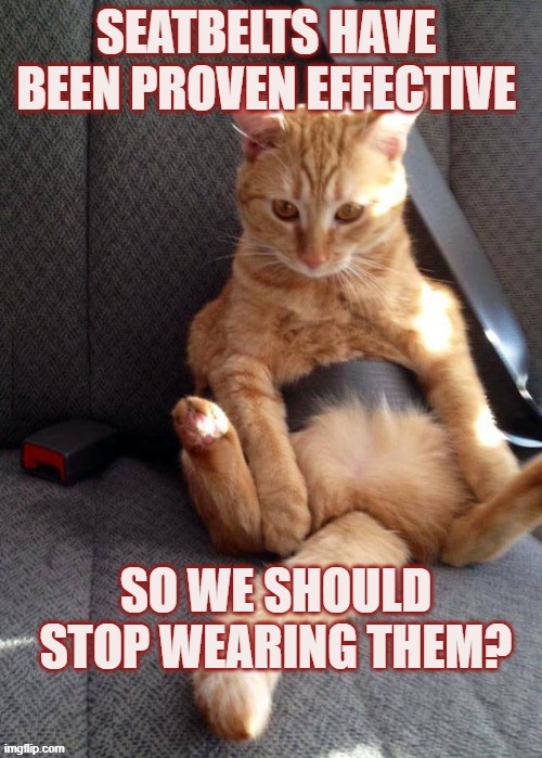 Should we stop wearing seatbelts because they work? | image tagged in seatbelt,lolcats,vaccines,coronavirus | made w/ Imgflip meme maker