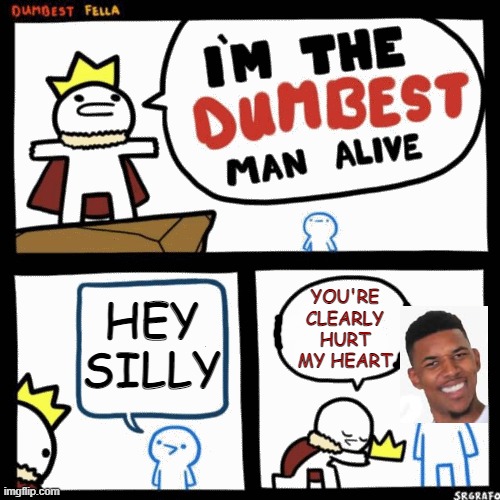 HEY SILLY | YOU'RE CLEARLY HURT MY HEART; HEY SILLY | image tagged in i'm the dumbest man alive,memes,funny | made w/ Imgflip meme maker