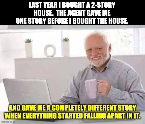 2 Story House | LAST YEAR I BOUGHT A 2-STORY HOUSE.  THE AGENT GAVE ME ONE STORY BEFORE I BOUGHT THE HOUSE, AND GAVE ME A COMPLETELY DIFFERENT STORY WHEN EVERYTHING STARTED FALLING APART IN IT. | image tagged in harold | made w/ Imgflip meme maker