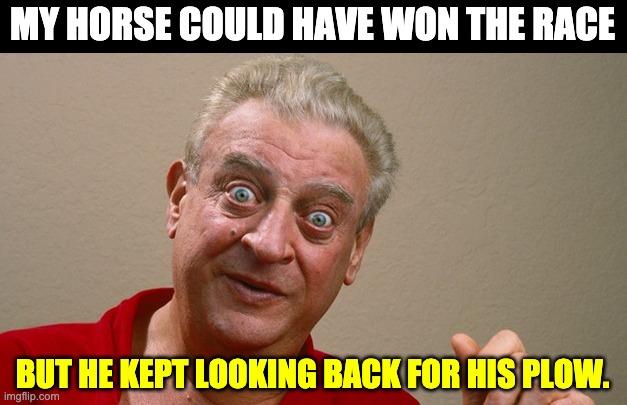 Race horse | MY HORSE COULD HAVE WON THE RACE; BUT HE KEPT LOOKING BACK FOR HIS PLOW. | image tagged in rodney dangerfield | made w/ Imgflip meme maker
